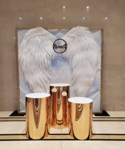 White angel wings backdrop with gold plinths setup for Sweet 16 party decor in Toronto and GTA