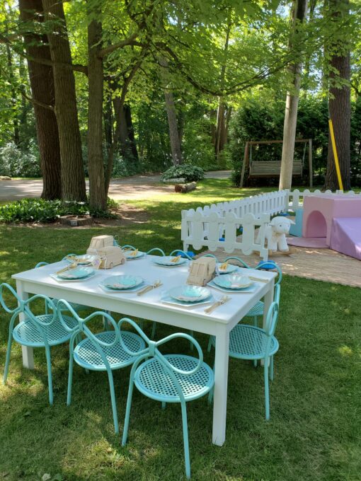 image of baby blue bow chairs