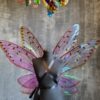 image of rainbow fairy wings