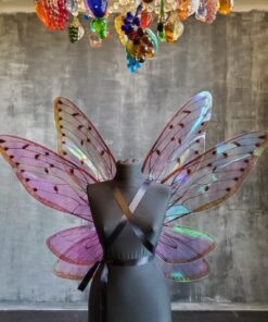 image of rainbow fairy wings