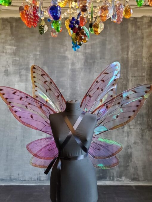 image of rainbow fairy wings