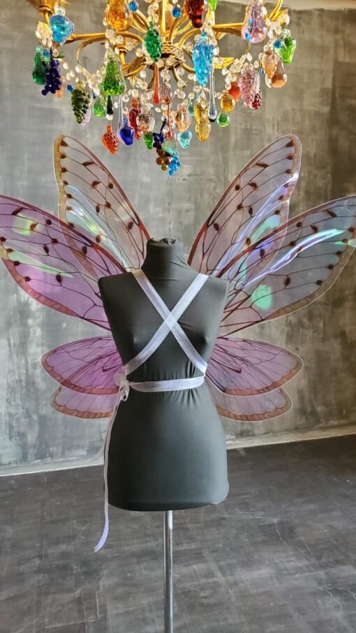 Rainbow Fairy Wings - Image 5