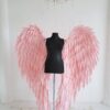 image of pink angel wings