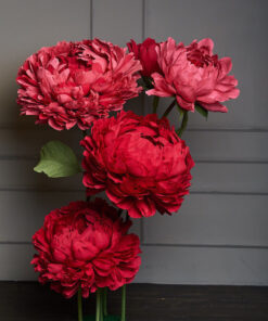 5 Scarlet Red Flowers