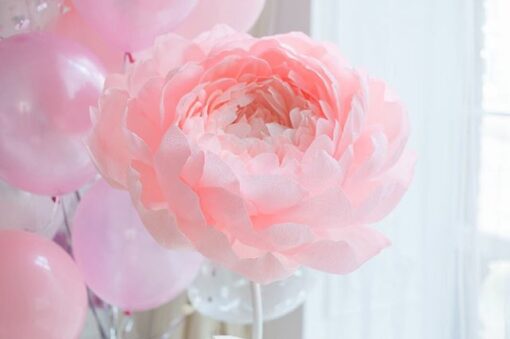 3 Baby Pink Flowers - Image 4