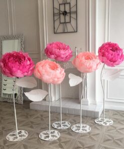 5 Colourful Flowers