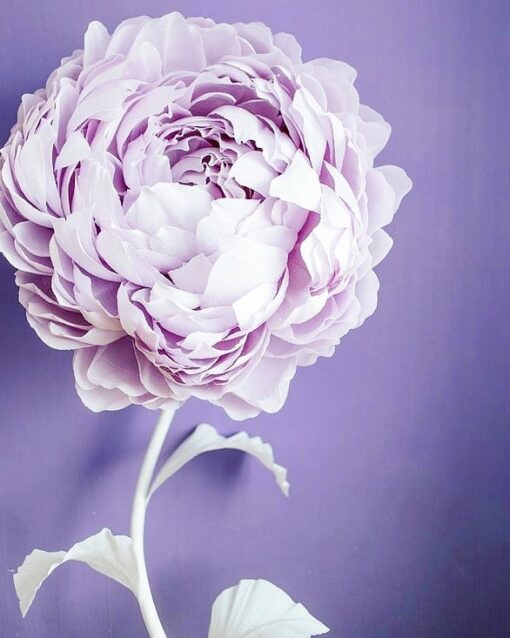 Blush Single Flower - Image 20