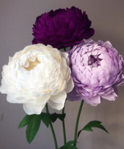 3 Vibrant Blooms