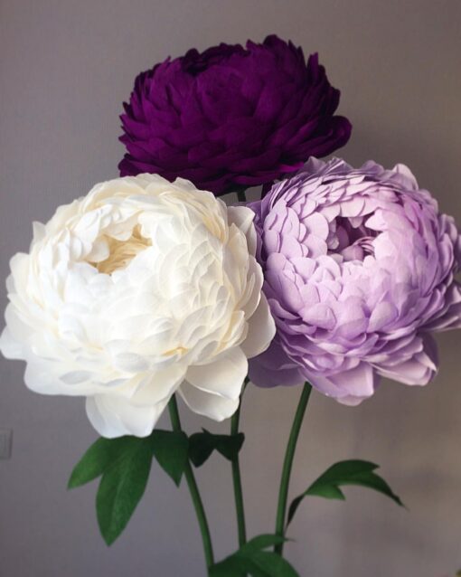 3 Vibrant Blooms