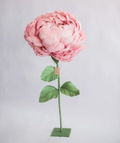 image of a blust single flower