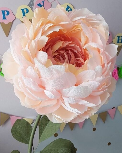 Blush Single Flower - Image 25
