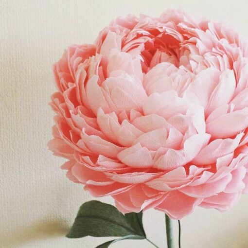 Blush Single Flower - Image 28