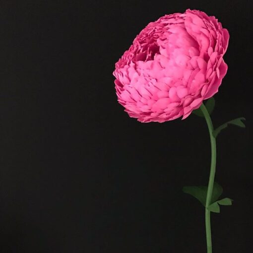 Blush Single Flower - Image 23