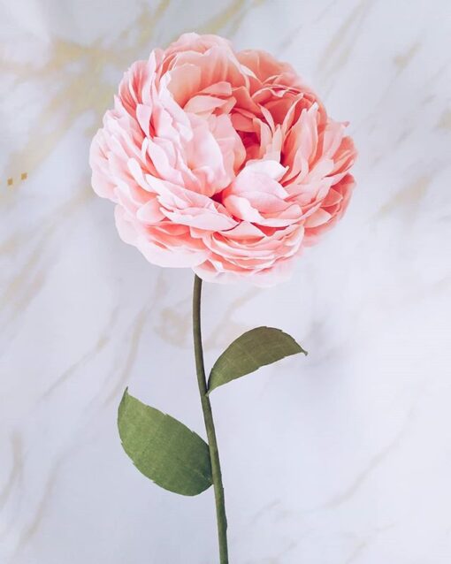 Blush Single Flower - Image 22