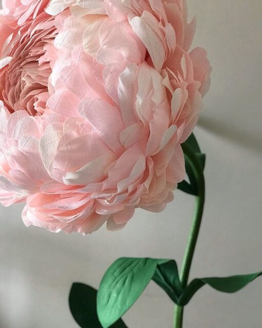 Blush Single Flower - Image 18