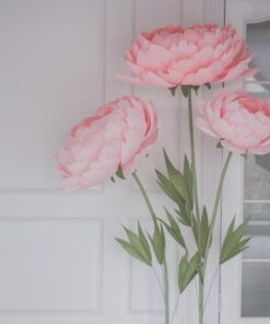 3 Light Peony Blooms
