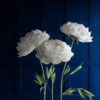image of 3 White Giant Flowers