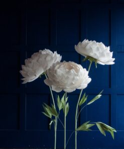 image of 3 White Giant Flowers