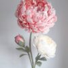 2 Pink & Ivory Flowers