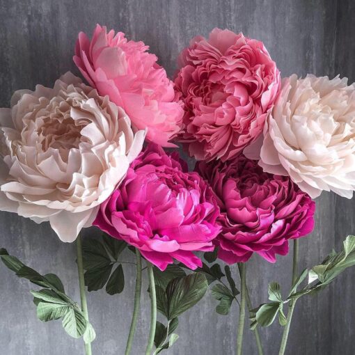 3-flower set (hot pink, pink, ivory) - Image 2