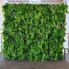 green foliage wall