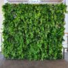 image of a green foliage wall