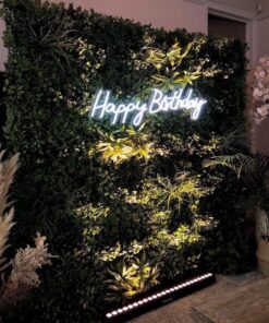 image of a Birthday Foliage Wall & Neon Sign