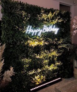 Birthday Foliage Wall & Neon Sign