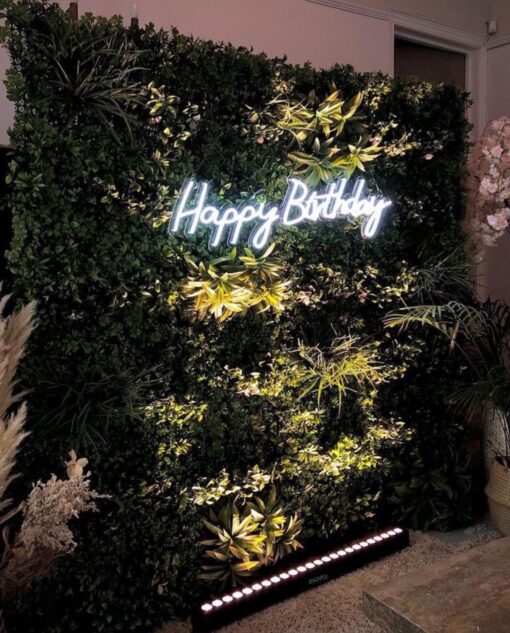 image of a Birthday Foliage Wall & Neon Sign