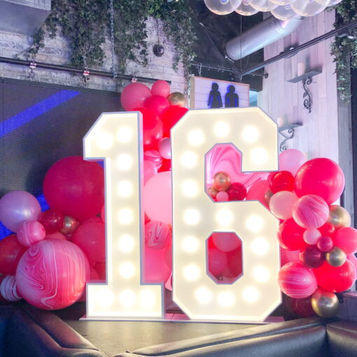 16 Light Up Numbers