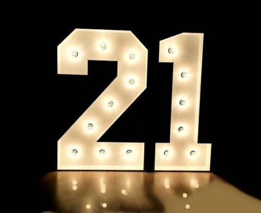 21 Light Up Number