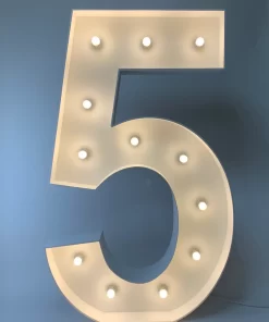 image of a 5 light up number