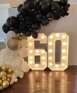 60 Light Up Number