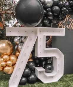 75 Light Up Numbers
