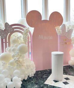 1st Minnie Mouse Package