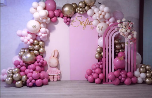 Baby Sofia Package