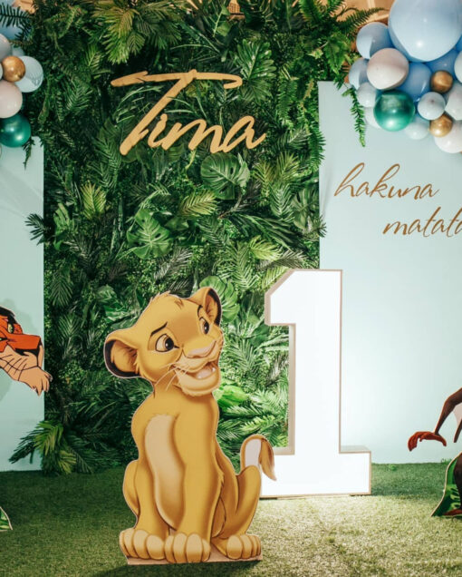 Lion King Birthday Package - Image 2