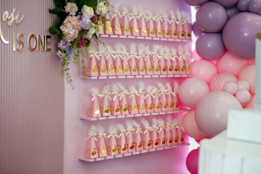 image of a Baby Pink Treat Wall