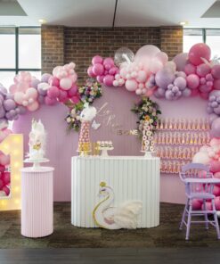 1st Swan Birthday Party