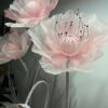 Baby Pink Silk Poppy