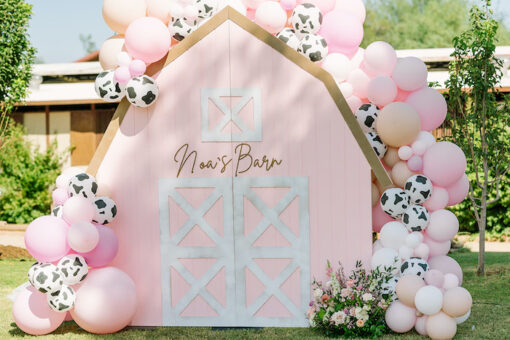image of a Pink Barn House