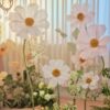 6 Daisy Flowers