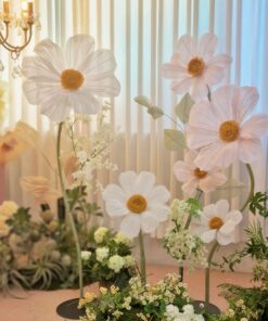 6 Daisy Flowers
