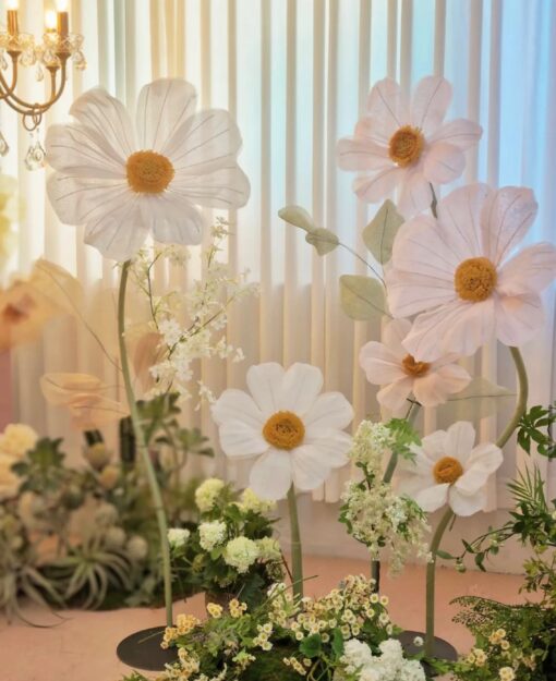 6 Daisy Flowers