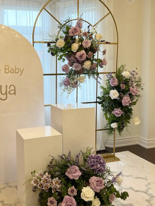 Baby Darya Package - Image 2