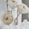 3 Ivory Luxe Bloom