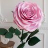 giant pink rose