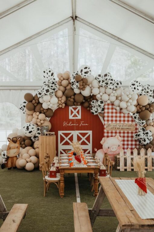 Baby Farm Birthday Package