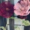 2 Flowers (burgundy, blush)
