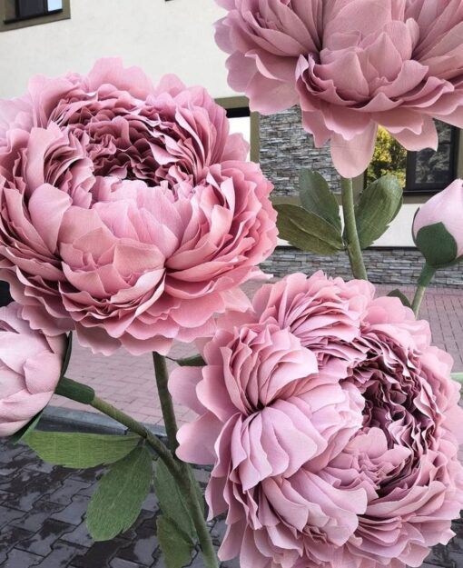 3 Blush Flowers and buds